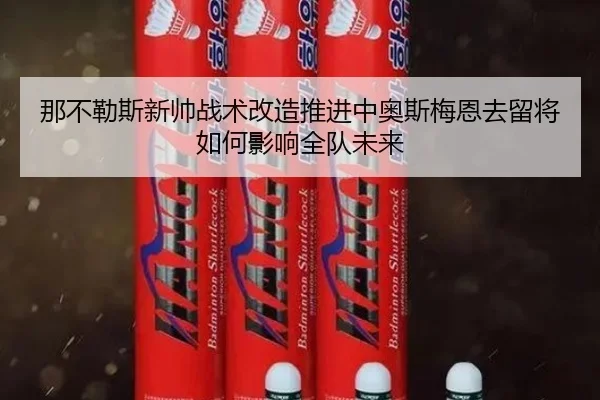 那不勒斯新帅战术改造推进中奥斯梅恩去留将如何影响全队未来